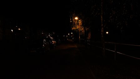 Ericaweg in Stroe. Lantaarnpaal staat in de boom en geeft minder licht meer op de weg
