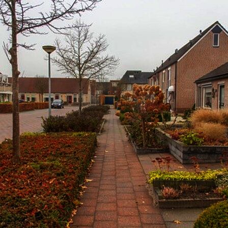 Voetpad gescheiden van de weg door groen