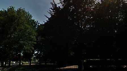 Groenvoorziening bij Schoutenweg-Kallenbroekerweg in Barneveld. Een strook met hoge bomen en wat lager groen. Als hier verlichting zou staan, en er gebeurt wat in het donker, dan is er niemand die dit ziet. Het licht geeft dan schijnveiligheid